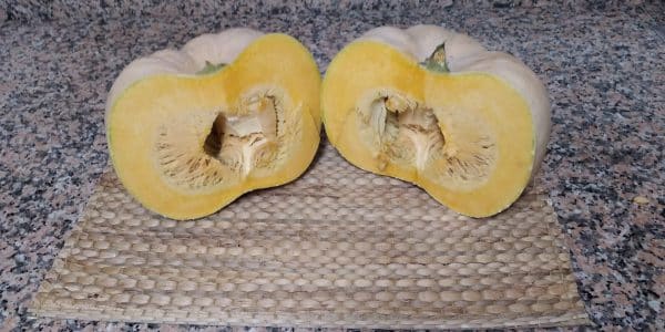 Calabaza - Lobulada - Agrodiverso