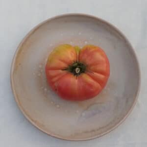 Tomate para Partir - Rosa de Barranda - Agrodiverso