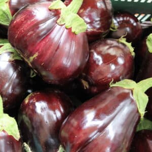 Berenjena - Huevos de Toro- Agrodiverso