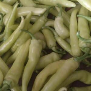 Pimiento - Picoso - Agrodiverso