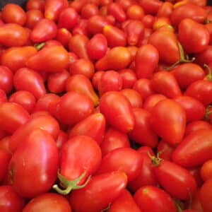 Tomate Cherry - Huevo de Paloma - Agrodiverso