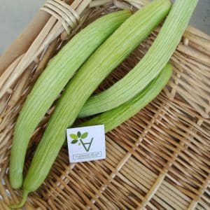 Alficoz - Agrodiverso