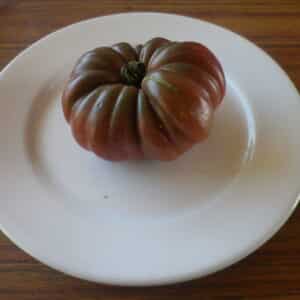 Tomate para Partir - Negro de Zaen - Agrodiverso